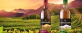 Новая упаковка для вина Vinogor